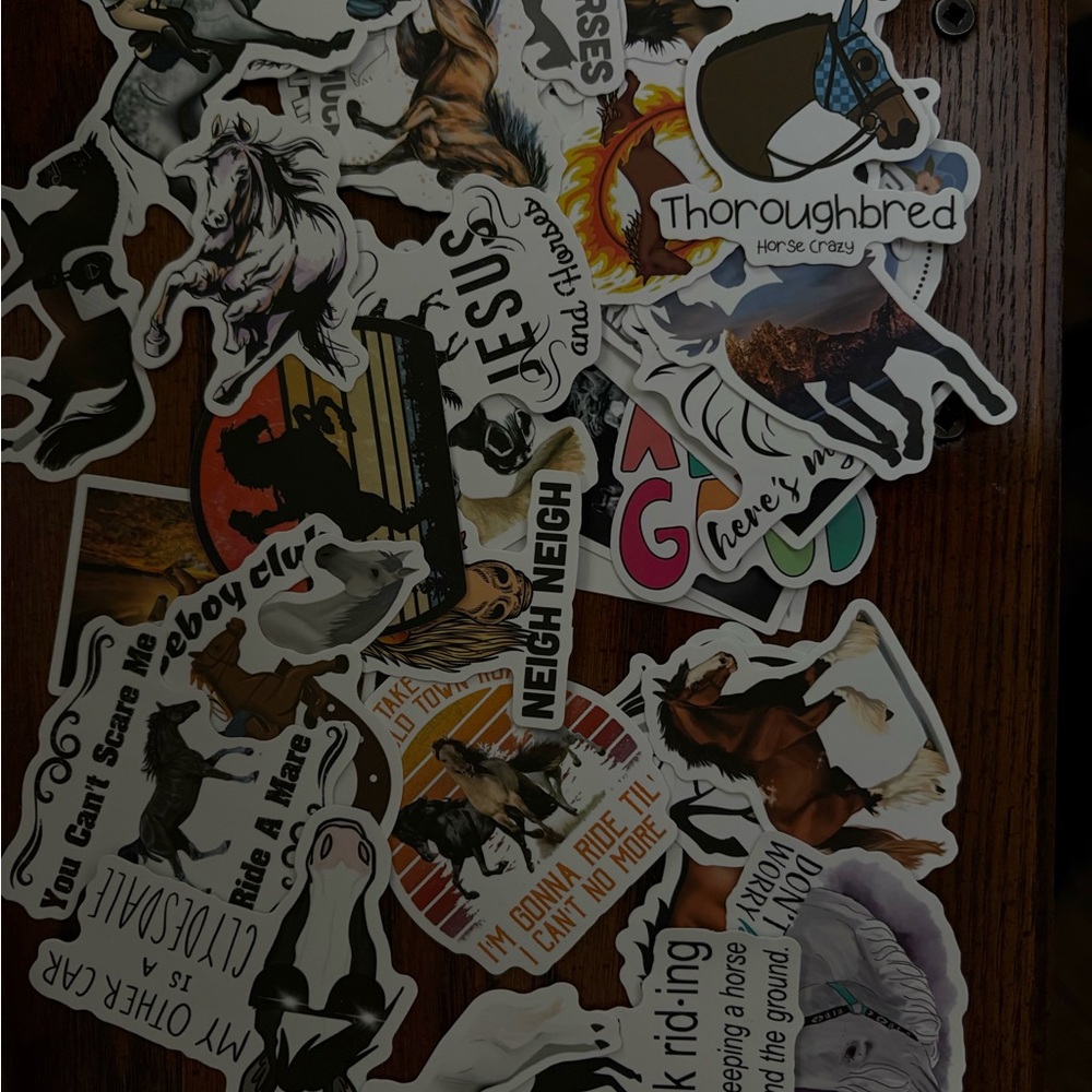 Horse Sticker Pack - Assorted Equestrian Designs